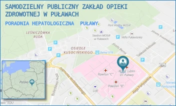 PORADNIA HEPATOLOGICZNA - SAMODZIELNY PUBLICZNY ZAKŁAD OPIEKI ZDROWOTNEJ W PUŁAWACH - BEMA 1,  PUŁAWY